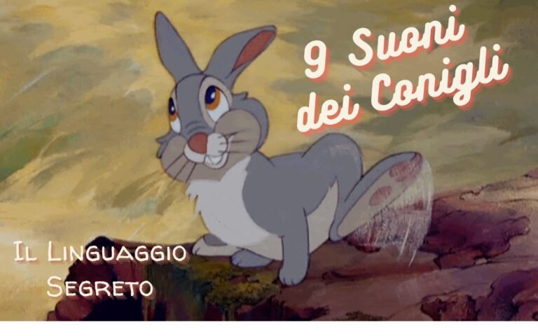 9 Suoni dei Conigli Il linguaggio segreto Featured image