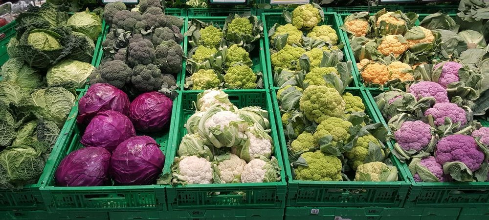 Brassicacee - Verdure Commestibili Per Il Vostro Coniglio