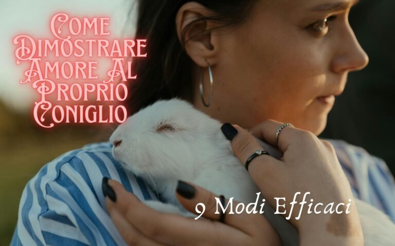 Come dimostrare amore al proprio coniglio 9 Modi Efficaci Featured image