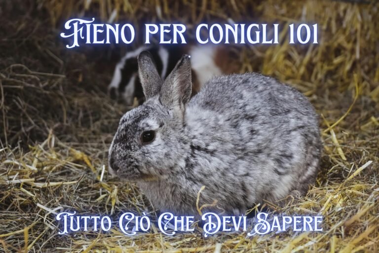 Fieno Per Conigli 101: Tutto Ciò Che Devi Sapere Featured mage