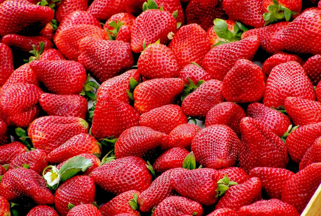 Fragola, Frutta Sicura Per I Conigli

Functional Image
Informative Image
