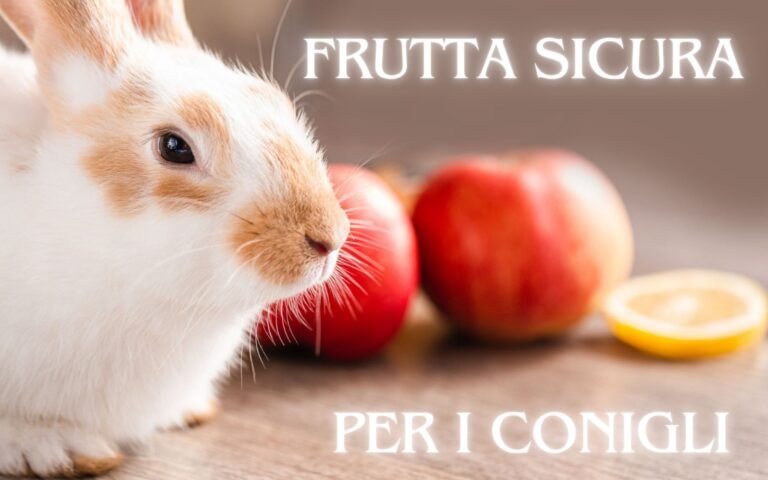 Frutta Sicura Per I Conigli Essenziale Per Una Dieta Sana E Bilanciata Featured image