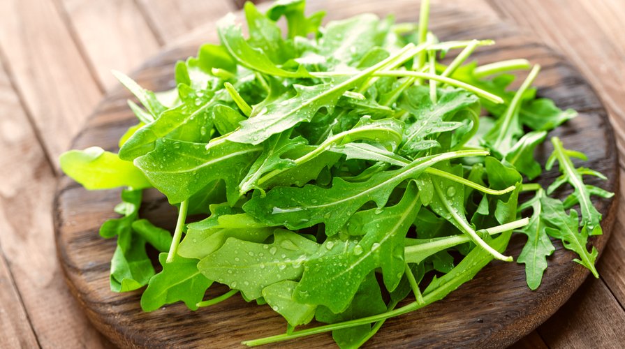 Rucola, Verdure Commestibili Per Il Vostro Coniglio
Functional Image
Informative Image
