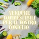 22 Verdure Commestibili Per Il Vostro Coniglio: Guida Completa