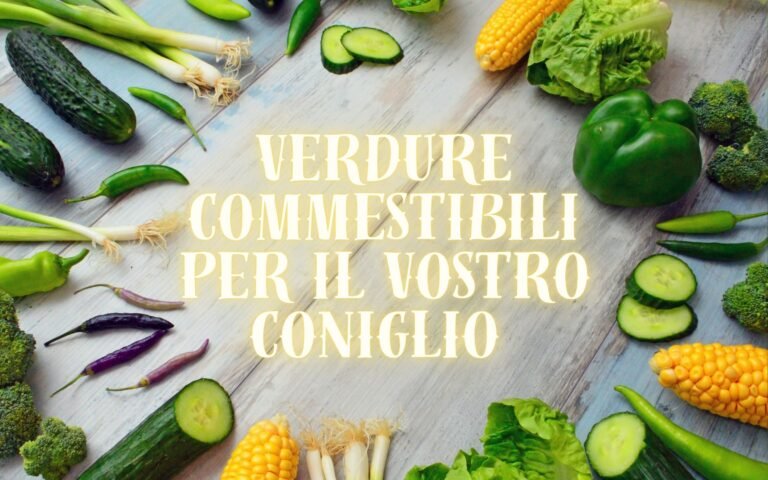 Verdure Commestibili Per Il Vostro Coniglio Guida Completa Featured Image